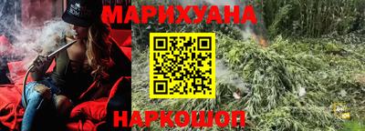 сатива Моздок