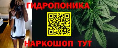 сатива Моздок