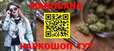 сатива Моздок