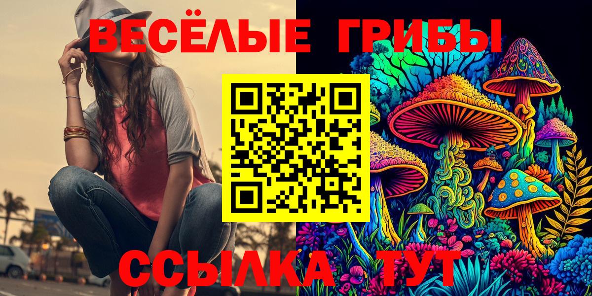 Советск  купить наркотики цена  Псилоцибиновые грибы прущие грибы  Вход с VPN  Псилоцибиновые грибы мухоморы 